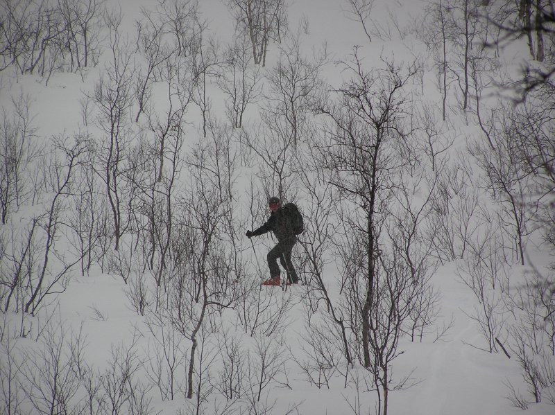 Click for the original image